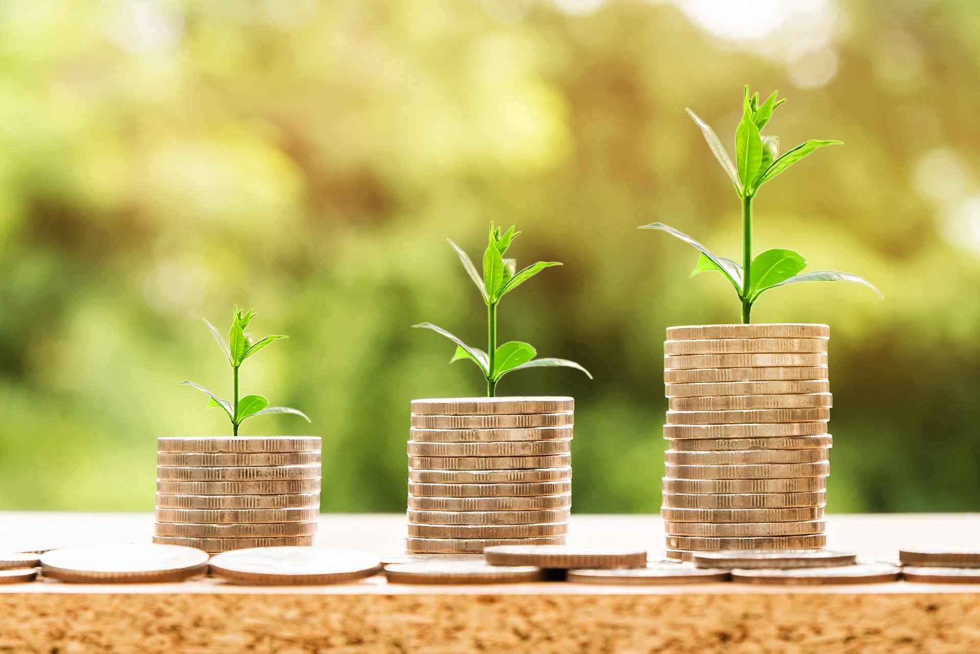 Can bankruptcy help my credit score? bankruptcy attorney